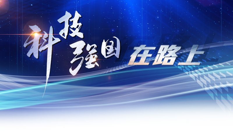 上海大数据服务公司报价解析：揭秘成本构成与优化策略